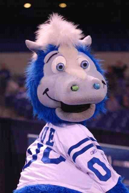The Colts Horse Mascot Green: Uniting Fans from Across the Globe